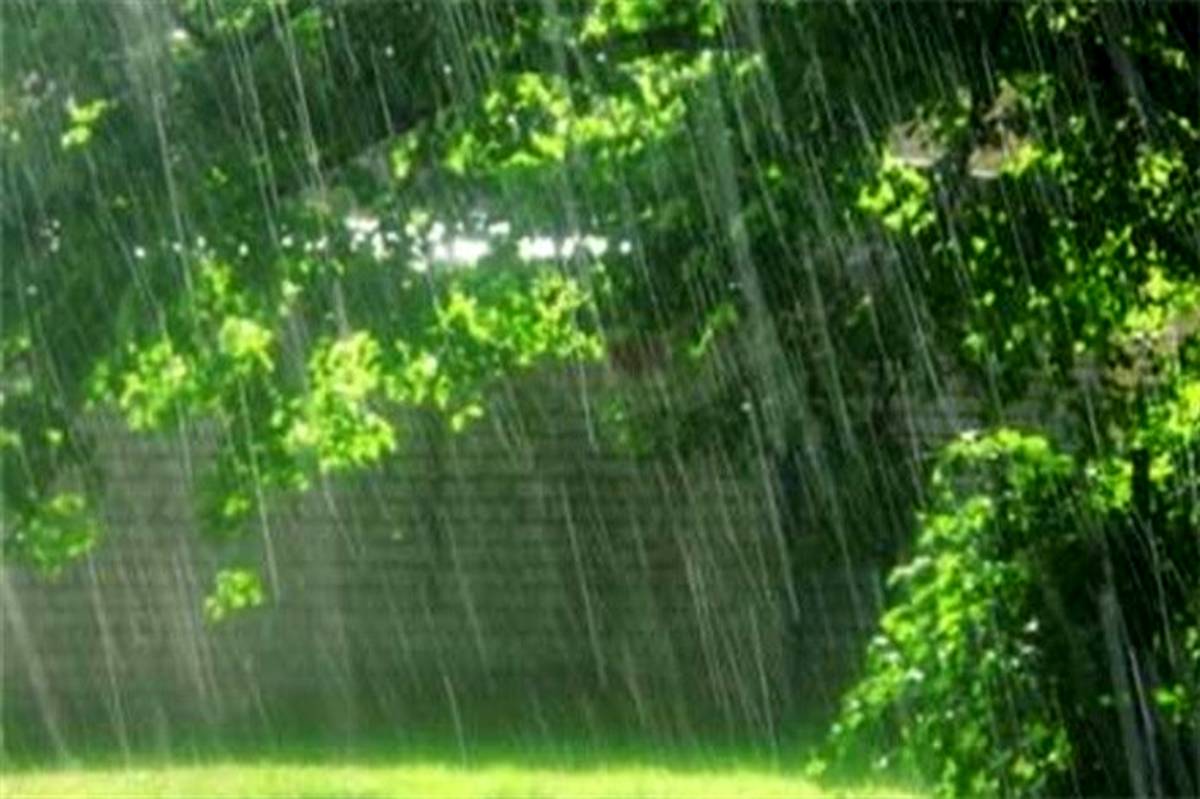 بارش نخستین باران بهاری در سیستان و بلوچستان
