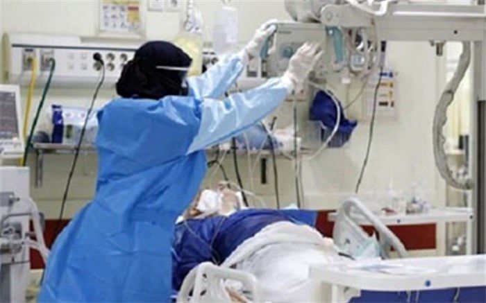بستری 445 بیمار در بخش‌های کرونایی در بیمارستان‌های استان بوشهر