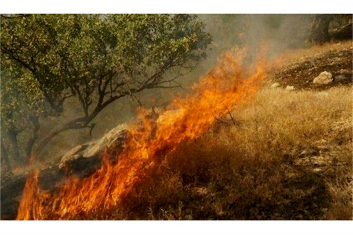 شعله و رشدن  آتش سوزی جنگل ها در منطقه حفاظت شده کوه خامی گچساران