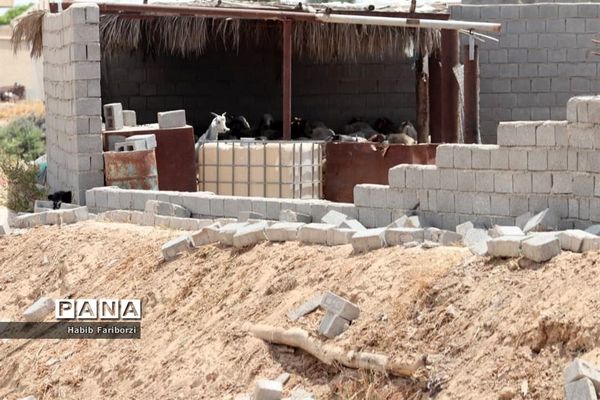 خسارات زلزله به شهرگناوه و روستاهای گماران، کمالی، فخرآوری بخش مرکزی شهرستان گناوه