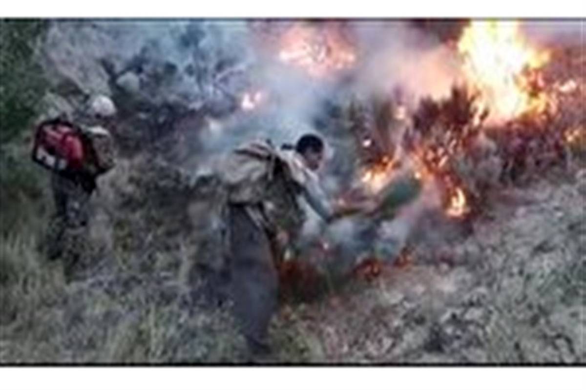 آتش سوزی جنگل‌های کوه خامی گچساران پس از ۳ روز مهارشد