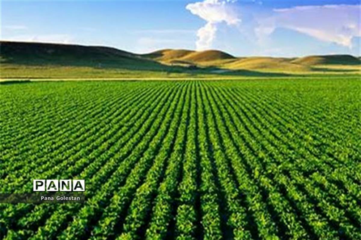 81 هزار میلیارد طرح ملی کشاورزی افتتاح می شود