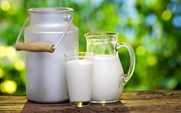 تصویب قیمت ۶۴۰۰ تومان برای شیر خام