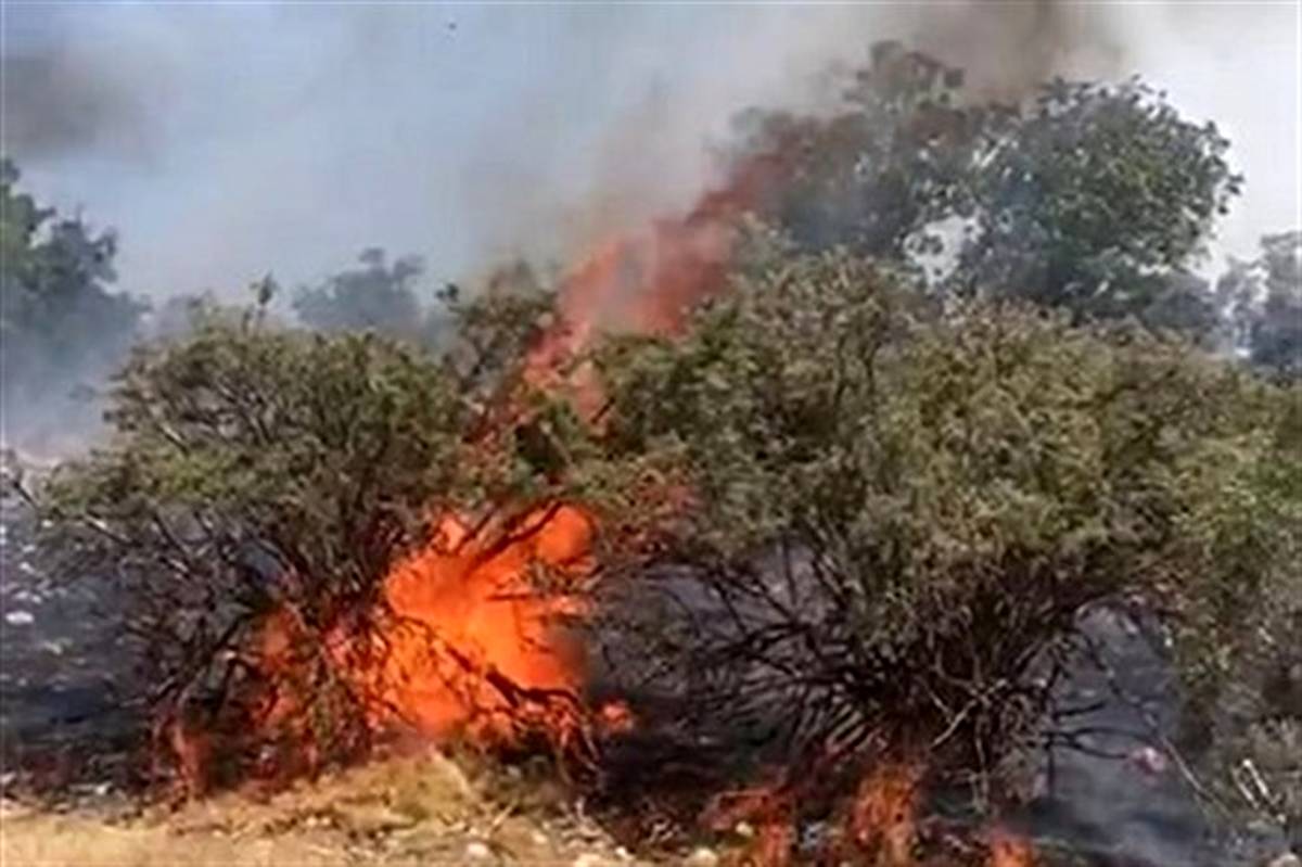 درخواست کمک فرماندار گچساران برای سرعت در روند مهار آتش‌سوزی نارک