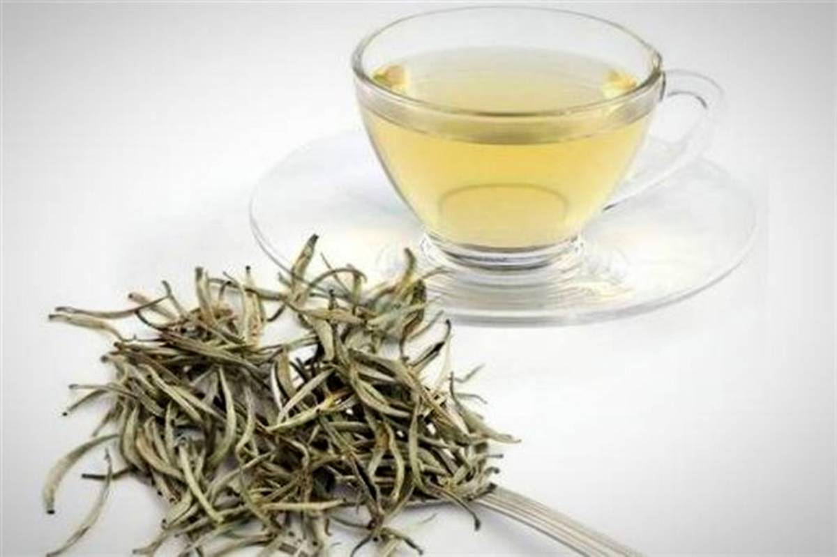 خواص بی‌نظیر چای سفید برای سلامت بدن
