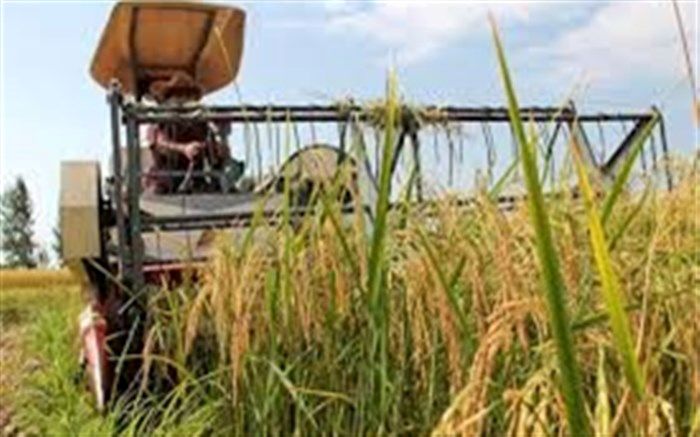 تاثیر توسعه مکانیزاسیون بر درآمد برنجکاران گیلان