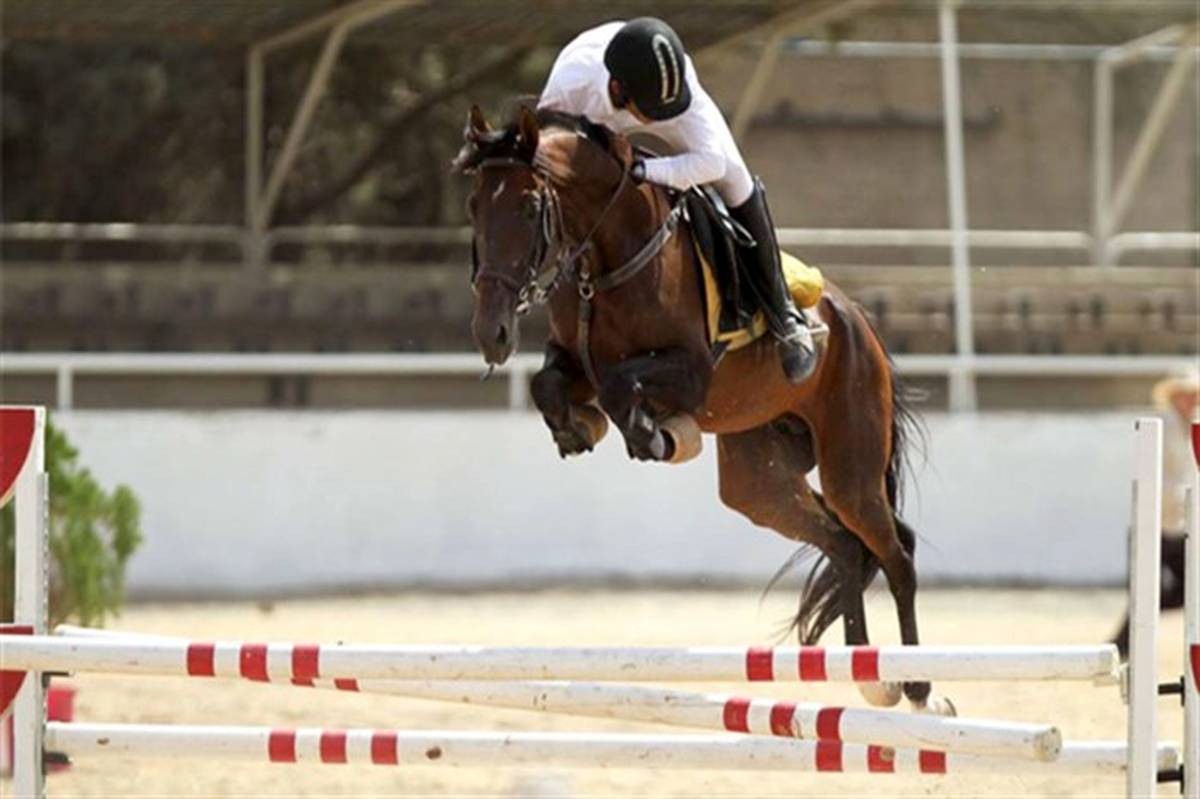 ایران میزبان مسابقات جهانی کمانگیری روی اسب شد