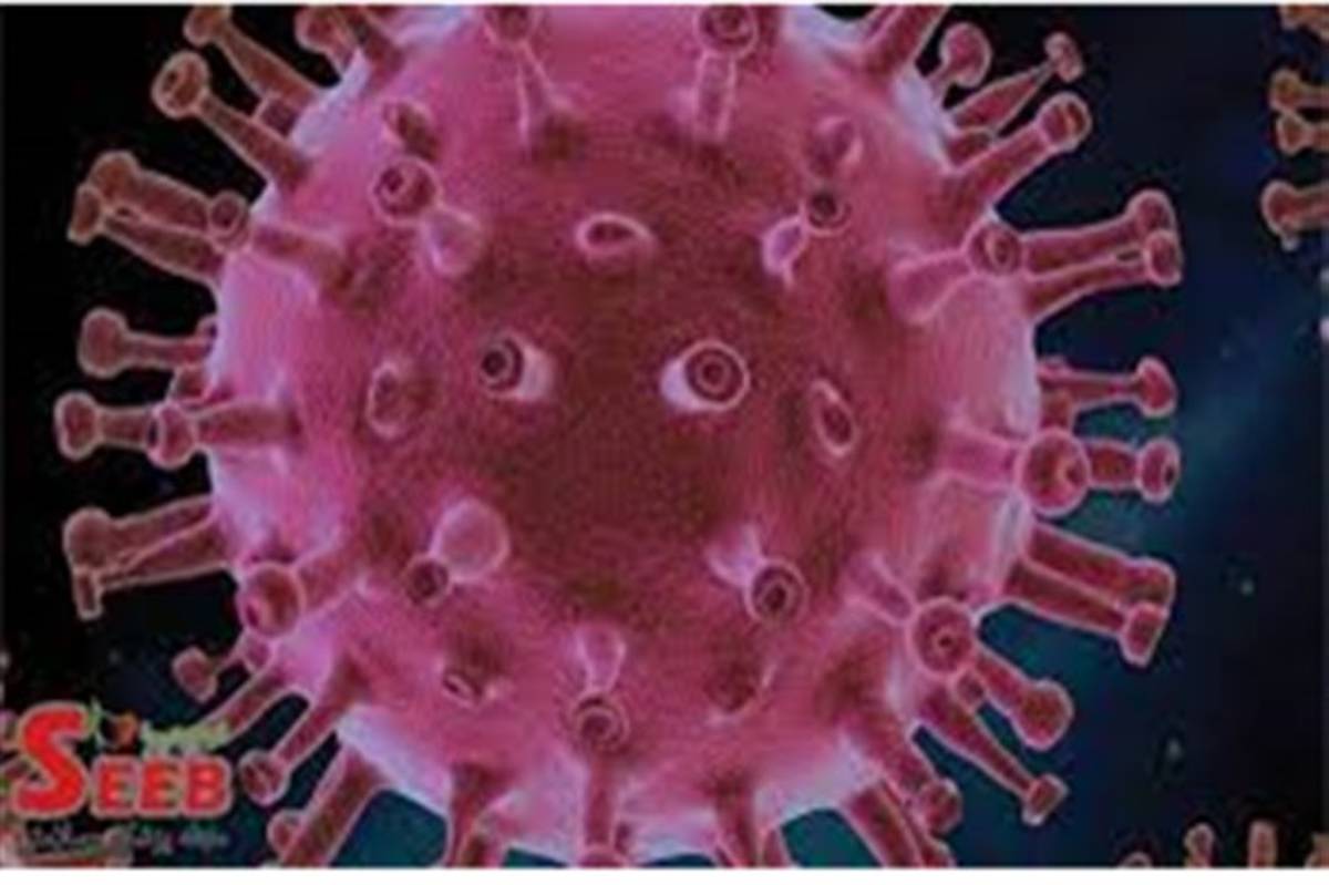 نخستین مورد ابتلا به ویروس کرونای دلتا در نیشابور شناسائی شد