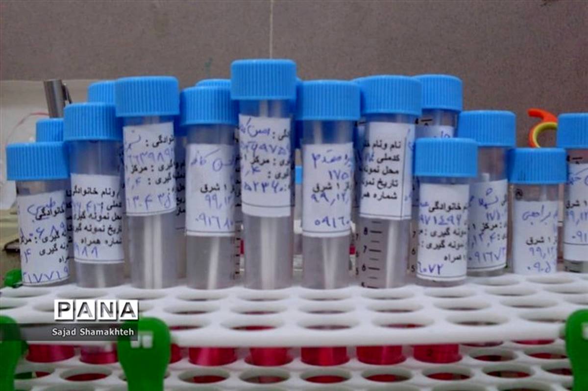 اخذ بیش از ۴۸ هزار تست pcr از مسافران