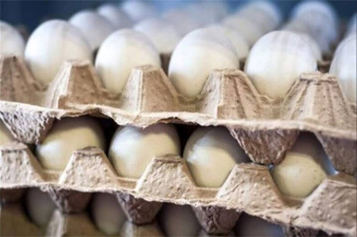 سود 2 هزار میلیارد تومانی دلالان از به‌هم‌ریختگی بازار مرغ و تخم‌مرغ