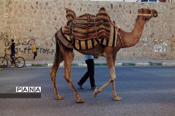 حرکت کاروان شادی به مناسبت عید غدیر خم در آبشناسان