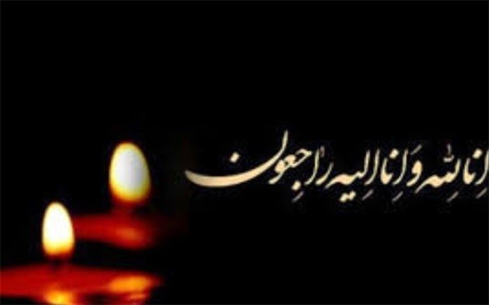 پیام تسلیتی برای درگذشت سرتیپ دکتر سیدحسین محمدی ودود