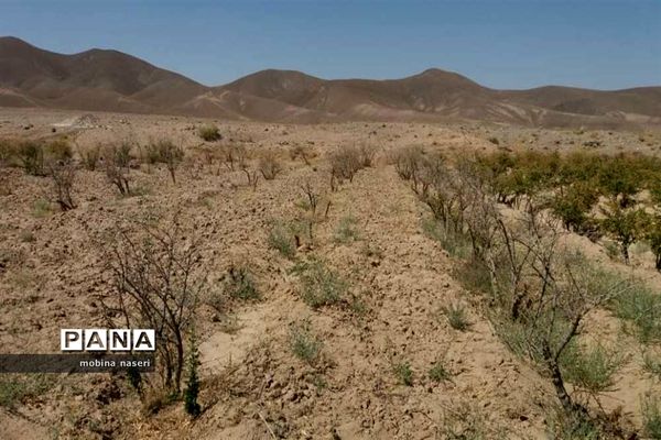 خشکی قنات روستای پایهان