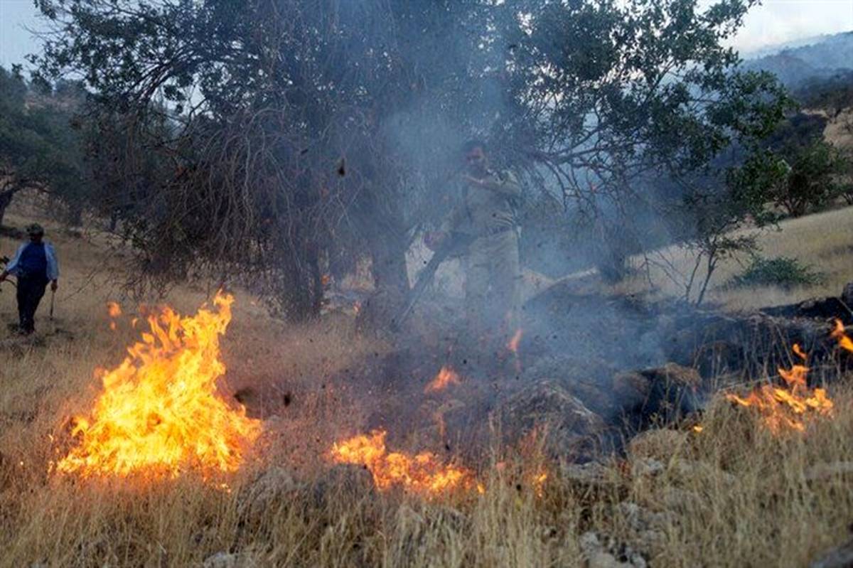 جنگل ها و مراتع کوه شره کهگیلویه دچار آتش سوزی شد