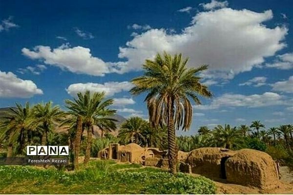 درختان خرما روستای بندان شهرستان نهبندان