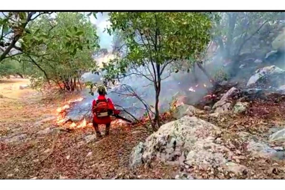 آتش سوزی جنگل‌ها و مراتع «کوه شره» در شهرستان کهگیلویه مهار شد