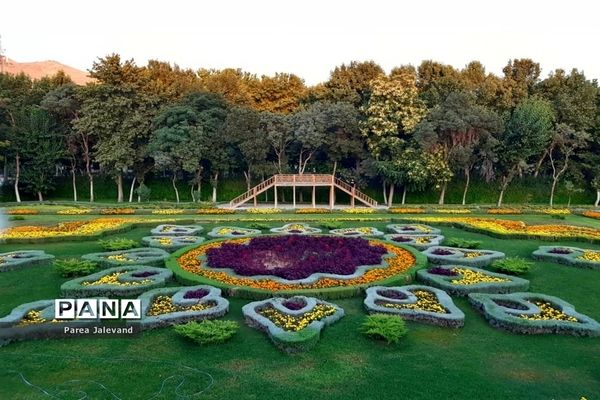 نیمه گمشده ایی از بهشت