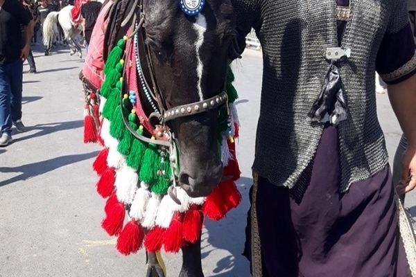 حرکت کاروان نمادین اسرای کربلا در قم