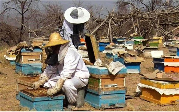 زنبورداران از اخذ «کد شناسه یکتا» مستثنی می‌شوند
