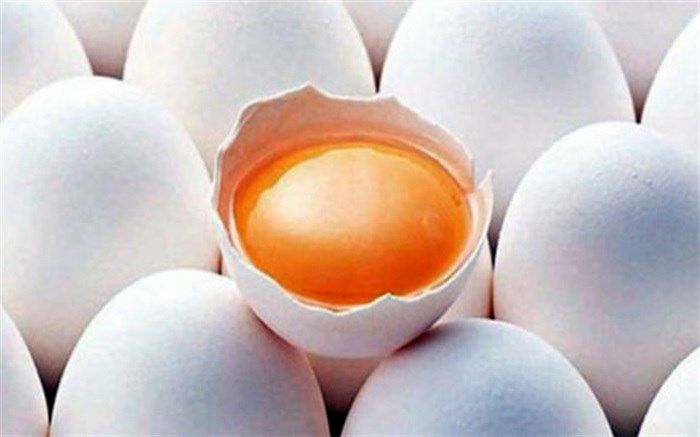 اولین محموله تخم مرغ نطفه دار وارد کشور می‌شود