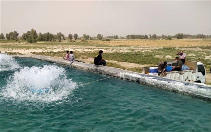 آغاز فصل پرورش ماهیان سردآبی در سیستان و بلوچستان