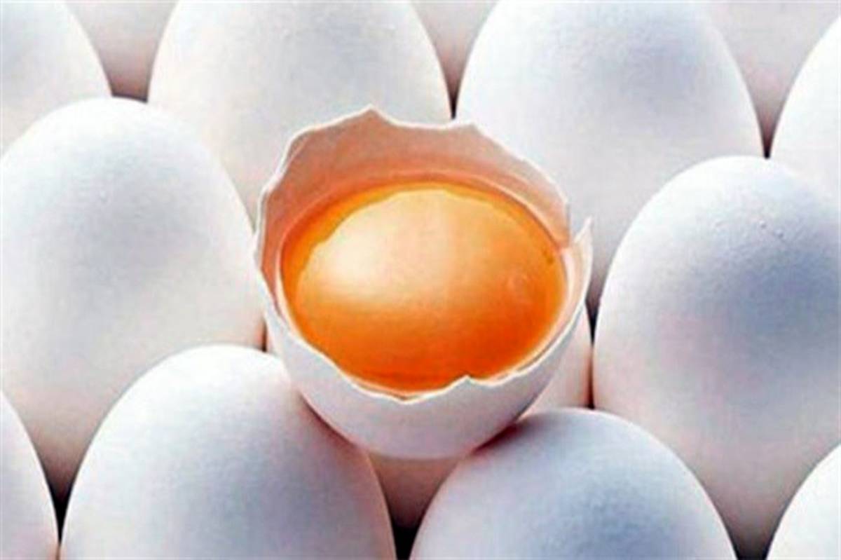 ۱۰ هزار تن تخم مرغ وارد می شود