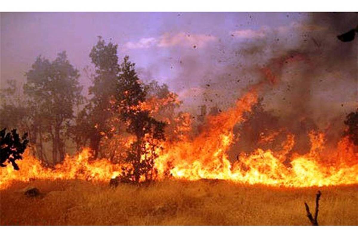 آتش در جنگل‌ها و مراتع کوه نیر لوداب دوباره شعله‌ور شد
