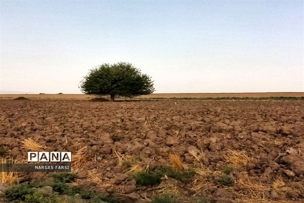 دیدنی های تاریخی و طبیعی روستای دولت آباد قم