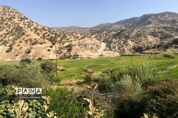 طبیعت زیبای نورآباد ممسنی استان فارس