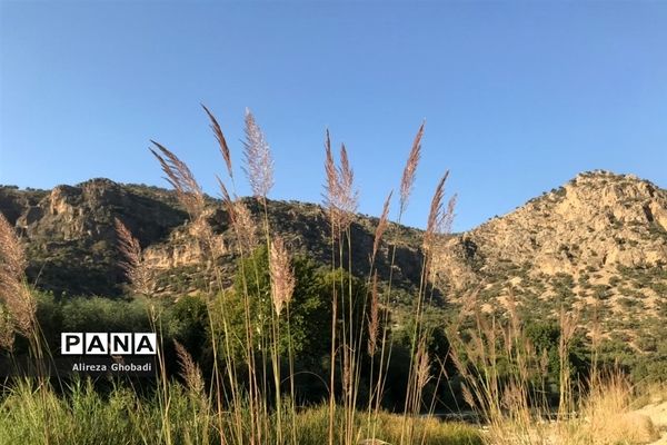 طبیعت زیبای نورآباد ممسنی استان فارس