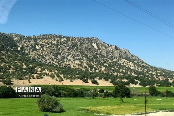 طبیعت زیبای نورآباد ممسنی استان فارس