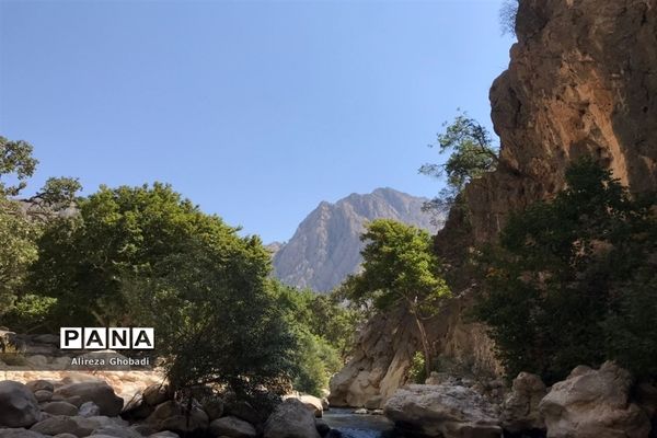 طبیعت زیبای نورآباد ممسنی استان فارس