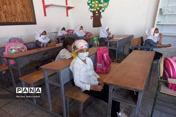 جشن شکوفه‌ها دبستان شایستگان فسا