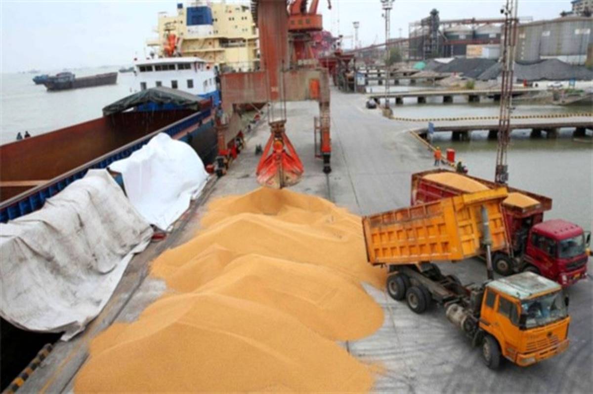 تأمین عمده نیاز گندم وارداتی کشور از طریق حمل و نقل دریایی
