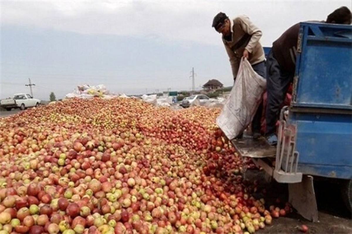 بهشت زیر پای دلالان