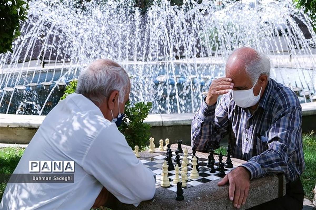 سالمندان؛ ۱۰.۳ درصد از جمعیت تهران