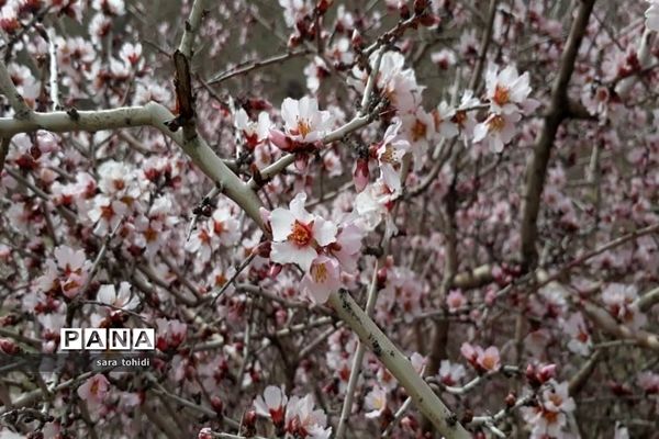 طبیعت زیبای فریدونشهر در استان‌اصفهان