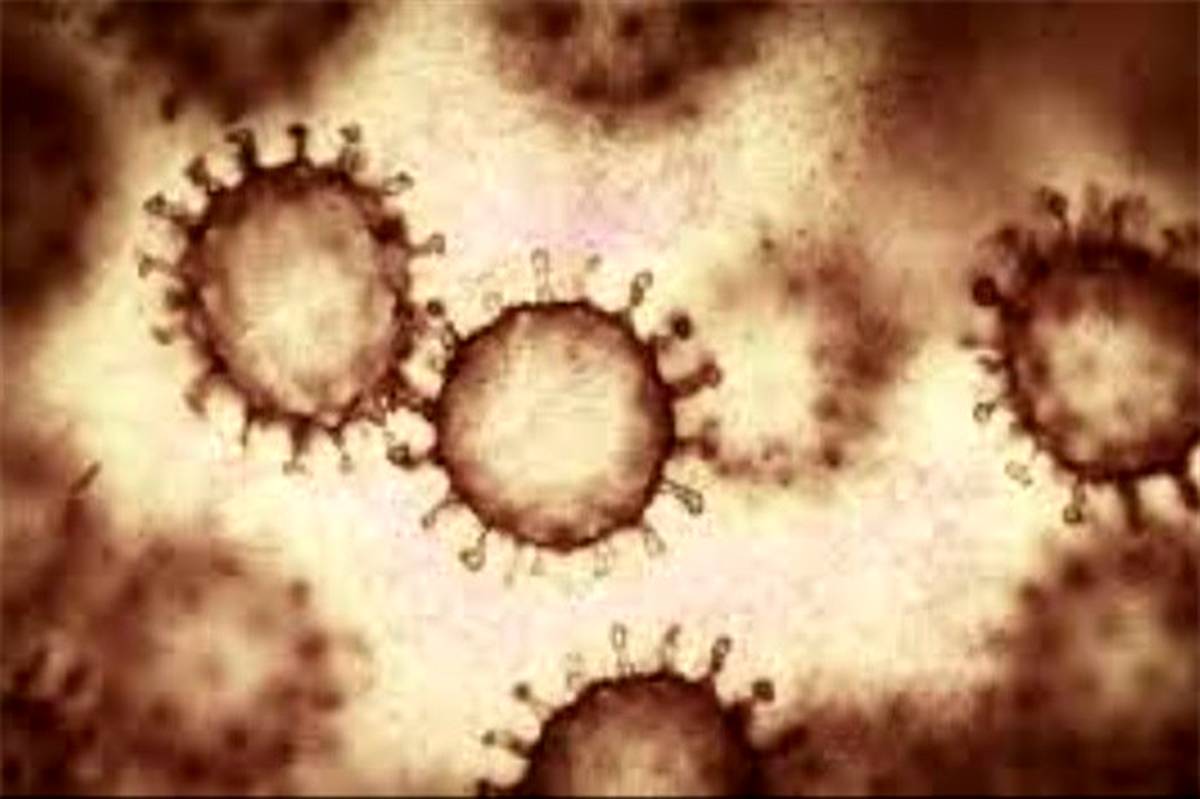 قندها کلید ورود ویروس‌ها به سلول هستند؟