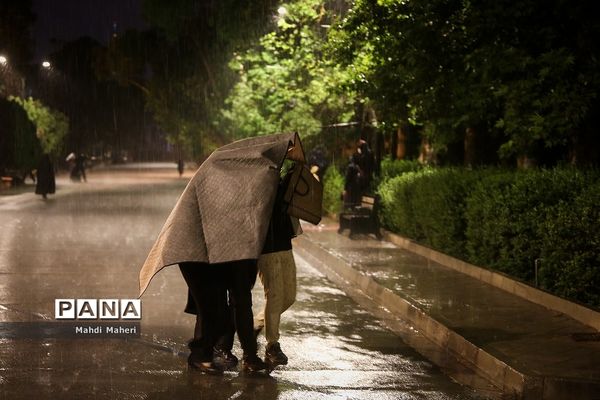 احیای شب نوزدهم ماه رمضان  دردانشگاه تهران