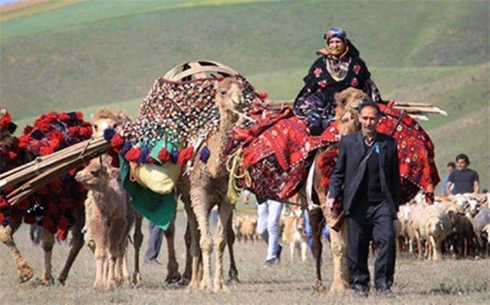 ۱۰۰ هزار تن علوفه دستی برای دام عشایر تا اواسط خرداد توزیع می‌شود