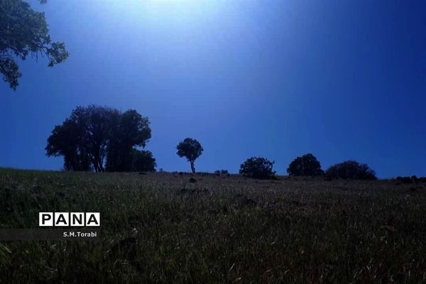 طبیعت زیبای تنگ بوان