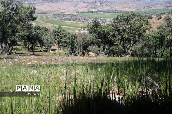 طبیعت زیبای تنگ بوان