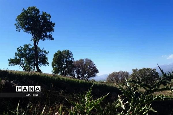 طبیعت زیبای تنگ بوان