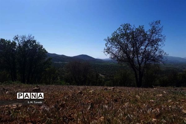 طبیعت زیبای تنگ بوان