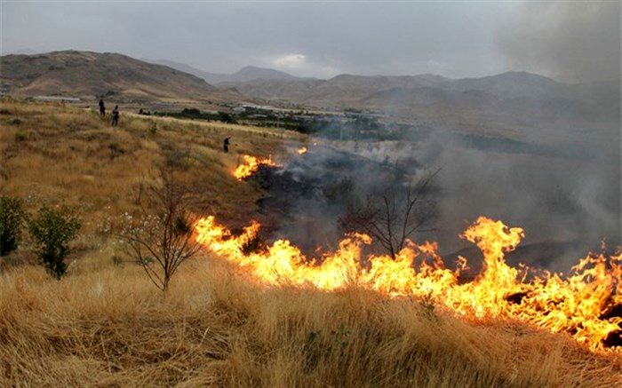 48 هکتار از اراضی طبیعی فیروزآباد در آتش سوخت