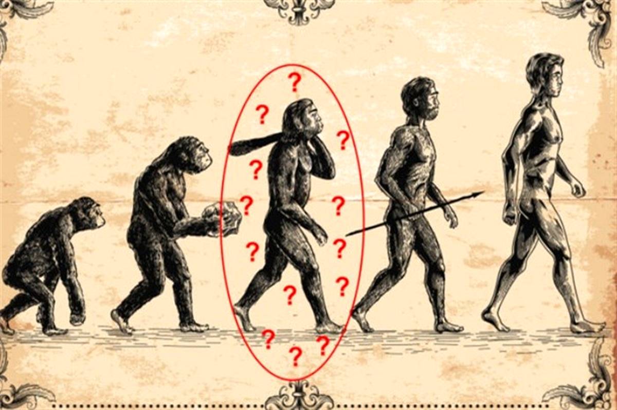اجداد انسان میمون‌ها نیستند