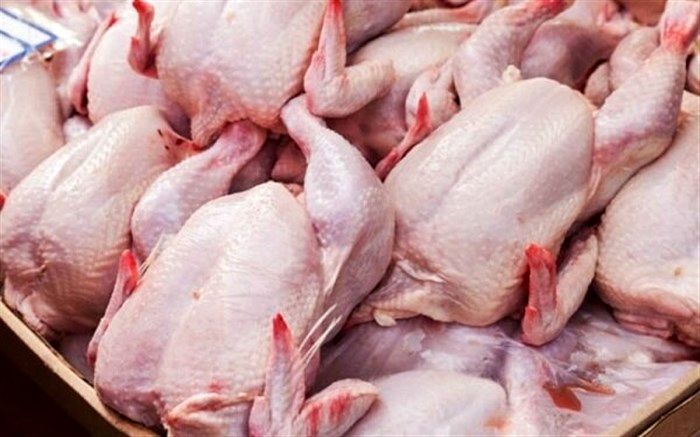 چه میزان مرغ گرم به بازار عرضه شده است؟