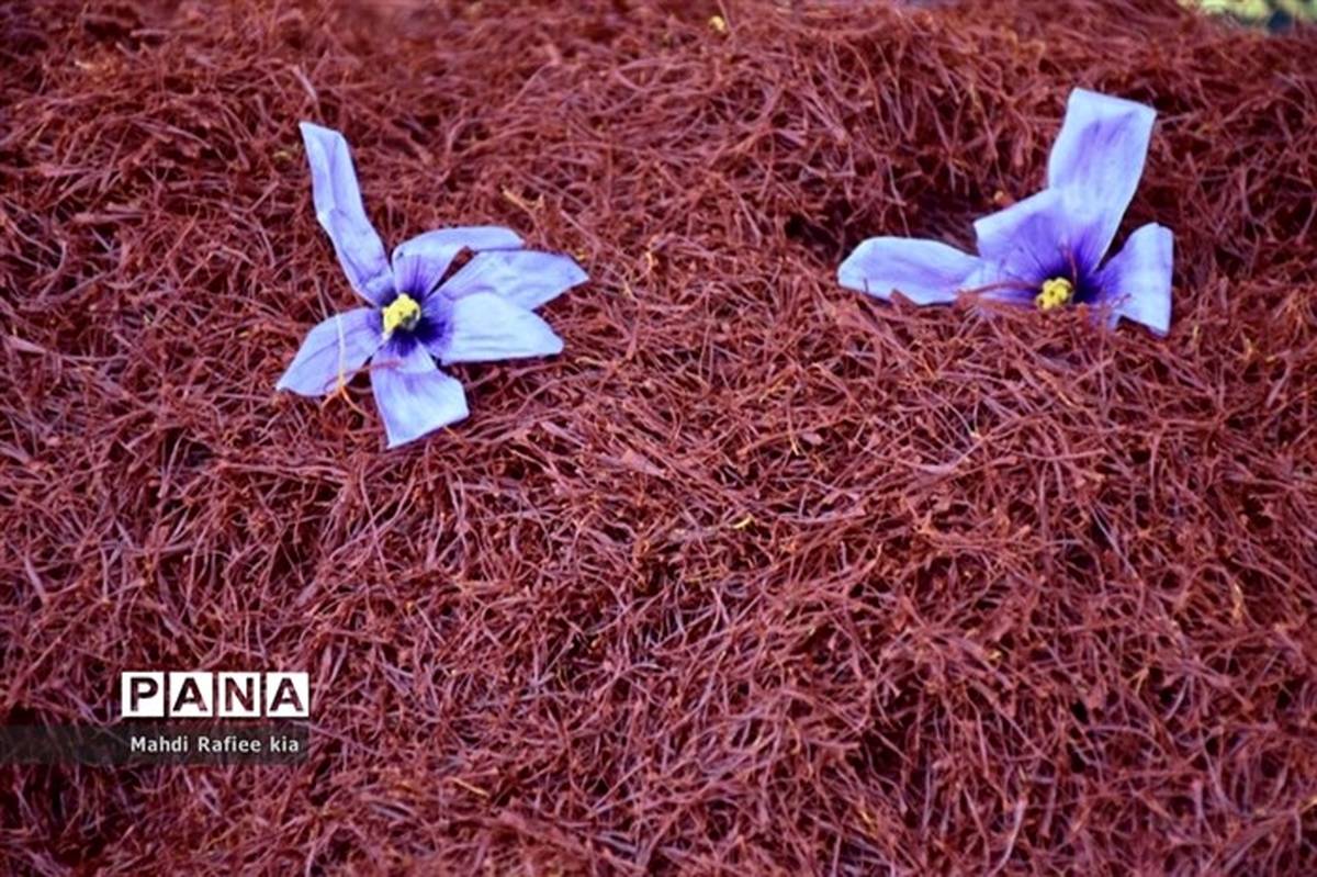 ۱۹۰ میلیون دلار زعفران ایرانی صادر شد