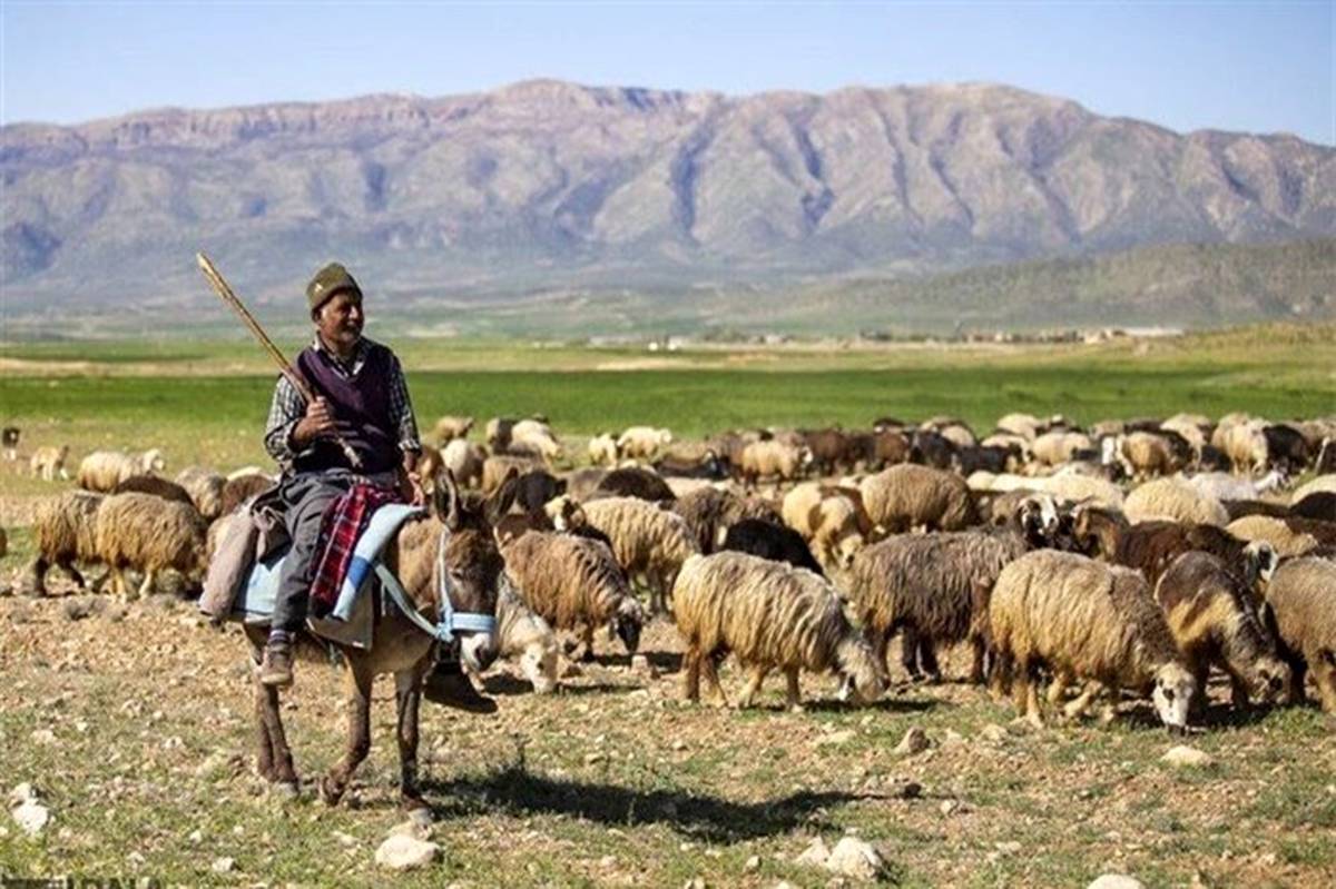 خسارت یک هزار میلیارد تومان خشکسالی به خانوار عشایر در فارس