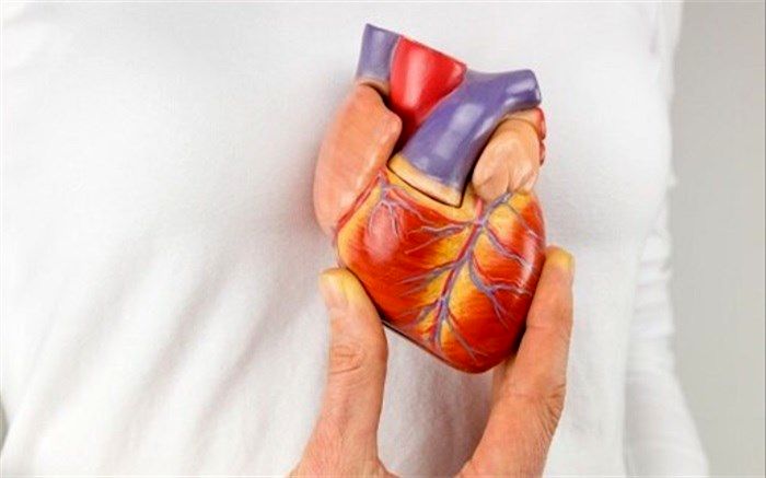 چربی دور قلب با افزایش خطر نارسایی قلبی مرتبط است
